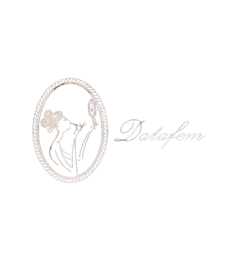 Logo Datafem